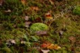 /album/photogallery/a011-watermarked-jpg/